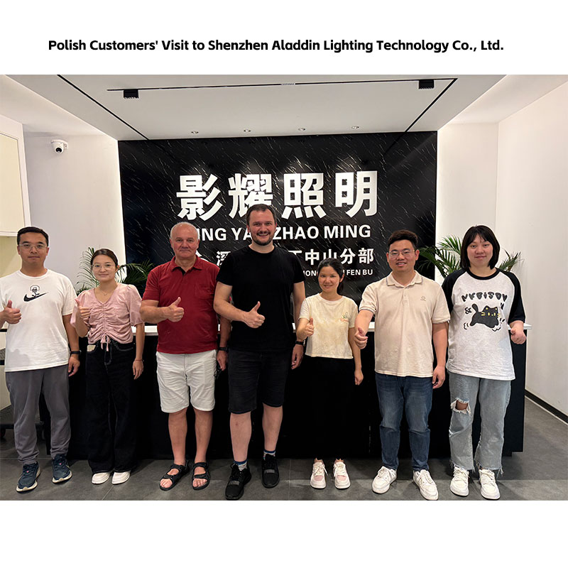 Визит польских клиентов в компанию Shenzhen Aladdin Lighting Technology Co., Ltd.
